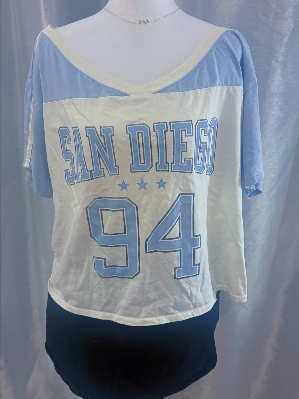 Hollister San Diego '94 V-Neck Colorblock Tee - Light Blue & Cream
